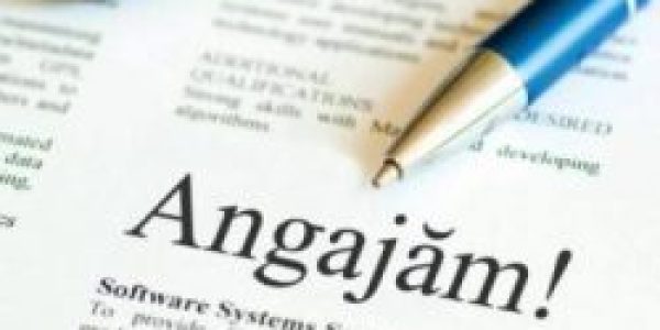 ANUNT ORGANIZARE CONCURS OCUPARE FUNCTII CONTRCTUALE DE EXECUTIE VACANTE SI TEMPORAR VACANTE